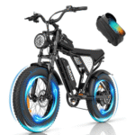 Ridstar Q20 1000W 48V 15Ah Fat Tire All-Terrain Electric Bicycle