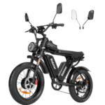Ridstar Q20 Pro 2000W Dual-Battery Fat Tire Electric Bicycle