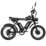 Ridstar Q20 Pro 2000W Dual-Battery Fat Tire Electric Bicycle - Image 2