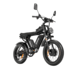 Ridstar Q20 Pro 2000W Dual-Battery Fat Tire Electric Bicycle - Image 5