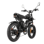 Ridstar Q20 Pro 2000W Dual-Battery Fat Tire Electric Bicycle - Image 6