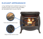 Duluth Forge FDSR25 26,000 BTU Matte Black Dual Fuel Ventless Gas Stove - Image 2